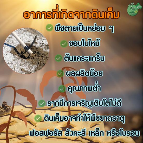 ไทโอ-แคล ( แก้ดินเค็ม )