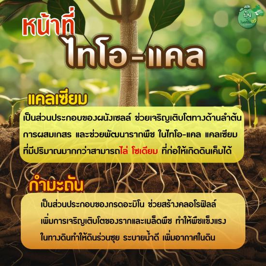 ไทโอ-แคล ( แก้ดินเค็ม )